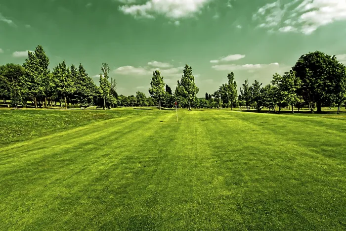 Stampa con cornice : Campo da golf