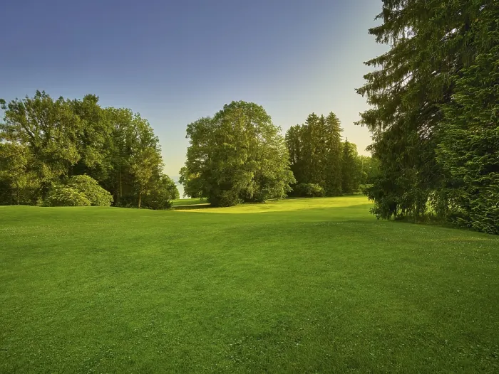 Stampa con cornice : Campo da golf Stampa con cornice : Campo da golf