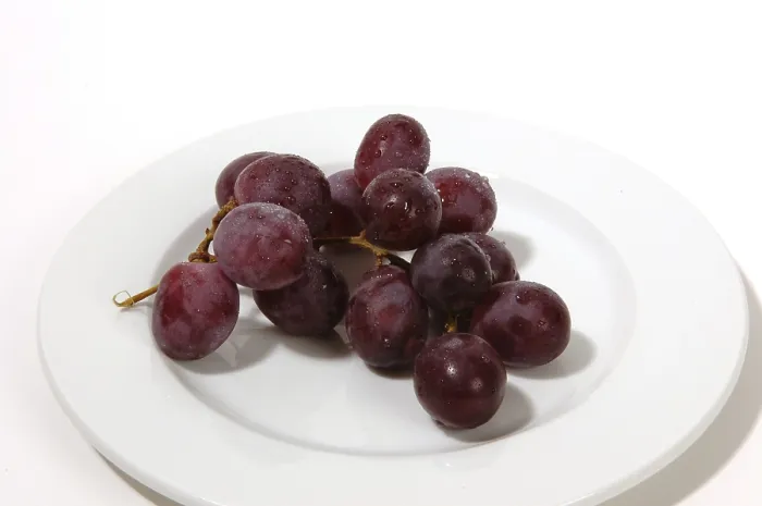 Stampa con cornice : Grapes Stampa con cornice : Grapes