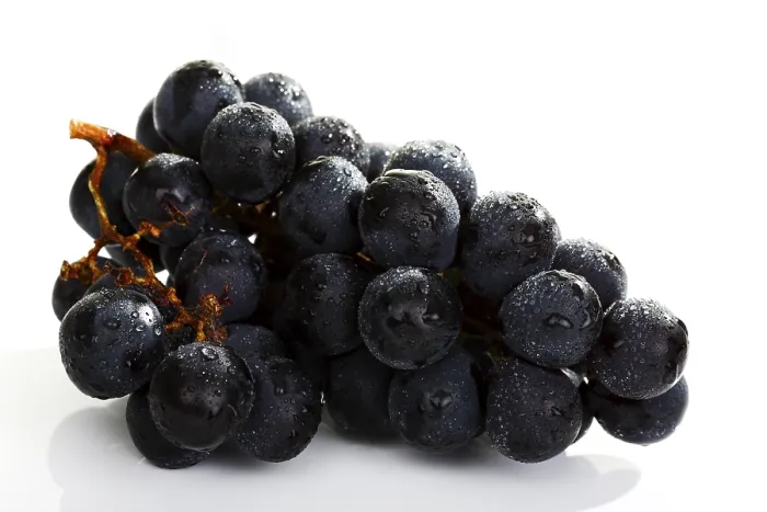Stampa con cornice : Grapes Stampa con cornice : Grapes