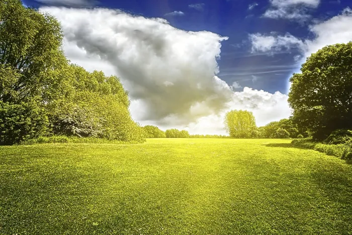 Stampa con cornice : Campo verde e nuvole. Stampa con cornice : Campo verde e nuvole.