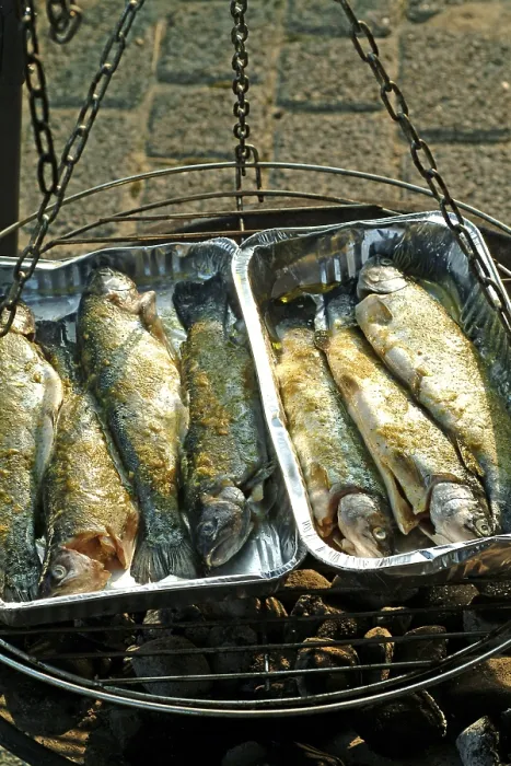 Stampa con cornice : Trout alla griglia Stampa con cornice : Trout alla griglia