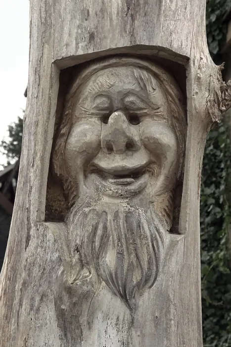 Stampa con cornice : Grimace in un tronco d'albero. Stampa con cornice : Grimace in un tronco d'albero.