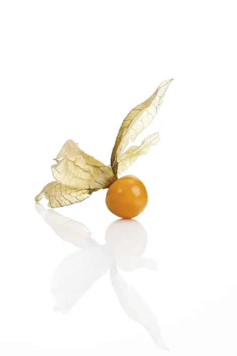 Stampa con cornice : Frutticancello, Frutticanello (Physalis)