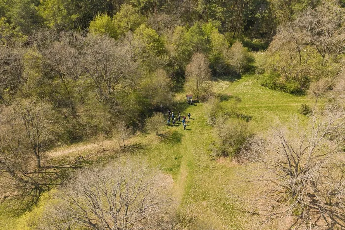 Stampa con cornice : Gruppo di persone nella foresta, circondato da alberi e erba. Stampa con cornice : Gruppo di persone nella foresta, circondato da alberi e erba.