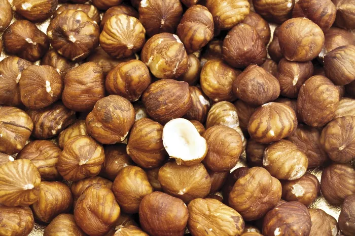 Stampa con cornice : Haselnuts