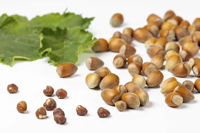 Stampa con cornice : Noccioline con e senza guscio.