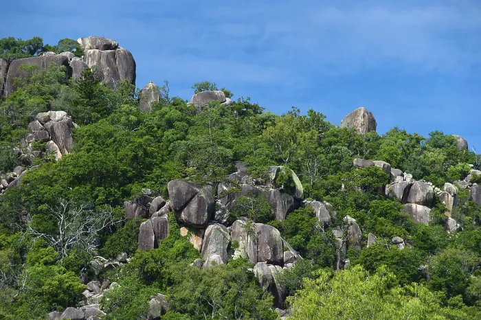 Stampa con cornice : Colle con rocce di granito, pietra.