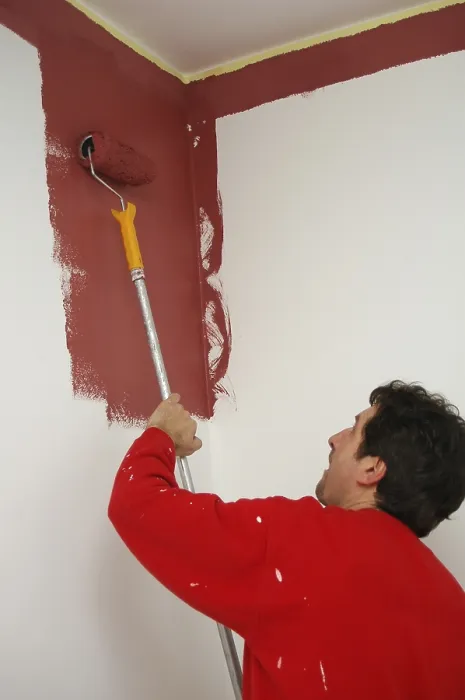 Stampa con cornice : Dipintore di case. Stampa con cornice : Dipintore di case.