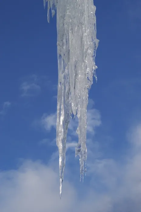 Stampa con cornice : Icicles Stampa con cornice : Icicles