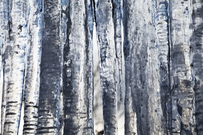 Stampa con cornice : Icicles