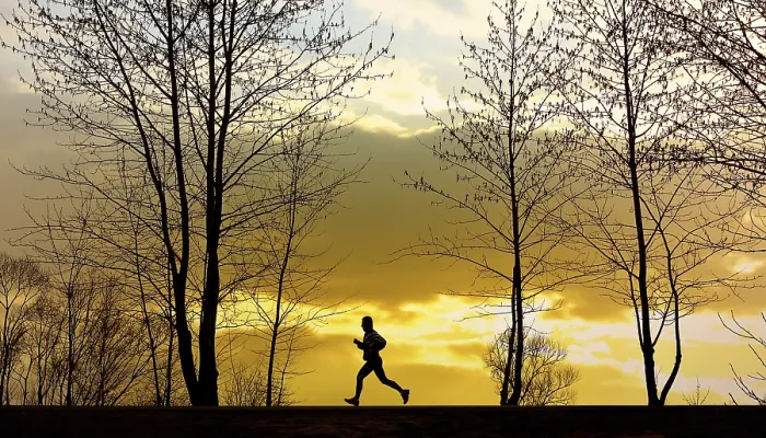 Stampa con cornice : Jogging Stampa con cornice : Jogging