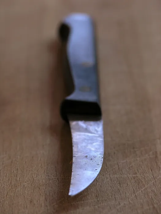 Stampa con cornice : Coltello da cucina Stampa con cornice : Coltello da cucina