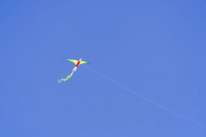 Stampa con cornice : Un aquilone. Stampa con cornice : Un aquilone.