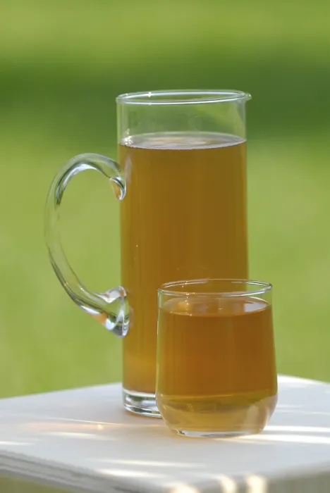 Stampa con cornice : Kombucha Stampa con cornice : Kombucha