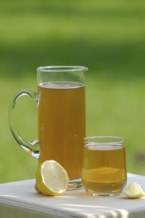 Stampa con cornice : Kombucha