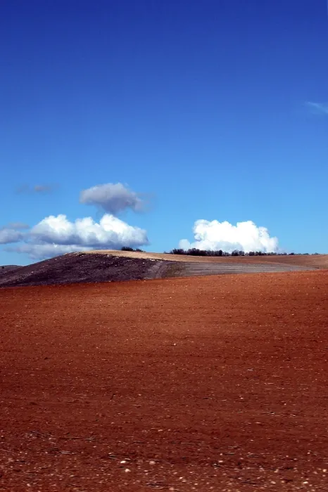 Stampa con cornice : Landscape Stampa con cornice : Landscape