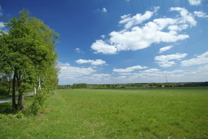 Stampa con cornice : Landscape