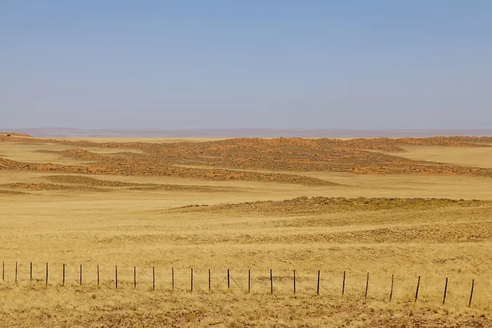 Stampa con cornice : Paesaggio sulla strada principale C14, Namibia. Stampa con cornice : Paesaggio sulla strada principale C14, Namibia.
