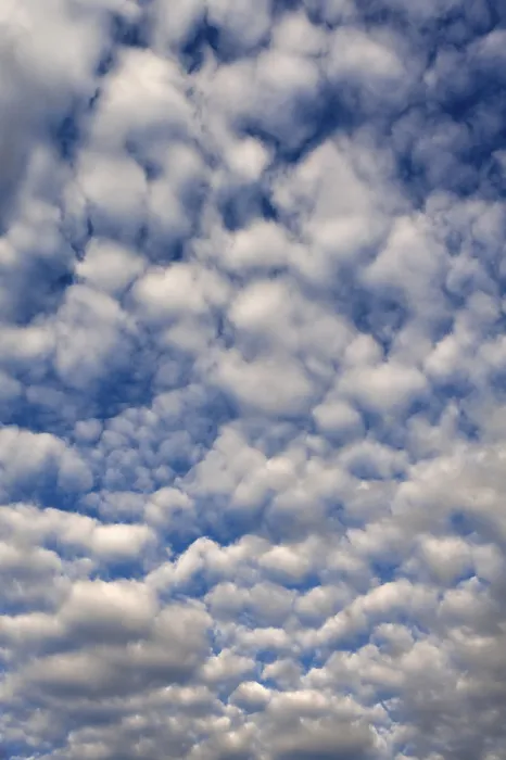 Stampa con cornice : Nuvole dense e lanose (altocumulus) Stampa con cornice : Nuvole dense e lanose (altocumulus)
