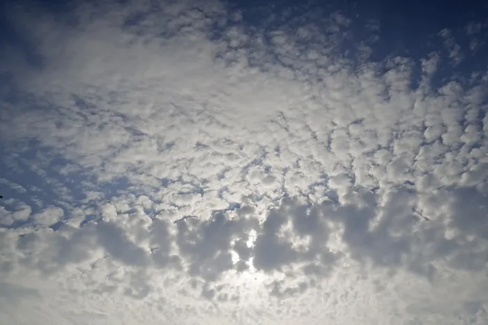 Stampa con cornice : Nuvole soffici e compatte, altocumuli. Stampa con cornice : Nuvole soffici e compatte, altocumuli.