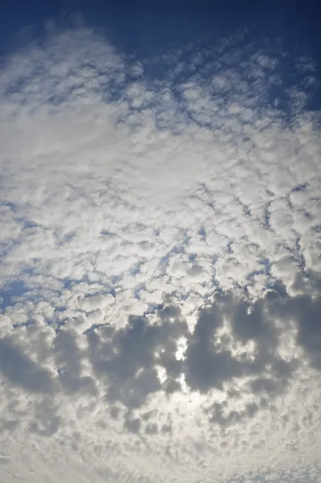 Stampa con cornice : Nuvole soffici e compatte, altocumulus, Meclemburgo-Pomerania Occidentale, Germania Stampa con cornice : Nuvole soffici e compatte, altocumulus, Meclemburgo-Pomerania Occidentale, Germania