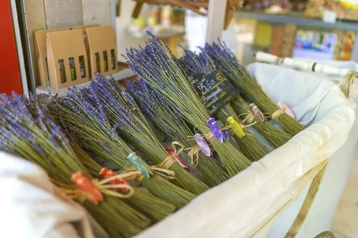 Stampa con cornice : Bundles di lavanda