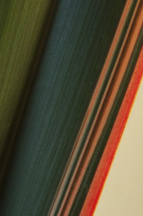 Stampa con cornice : Foglia, colore, strutture. Stampa con cornice : Foglia, colore, strutture.