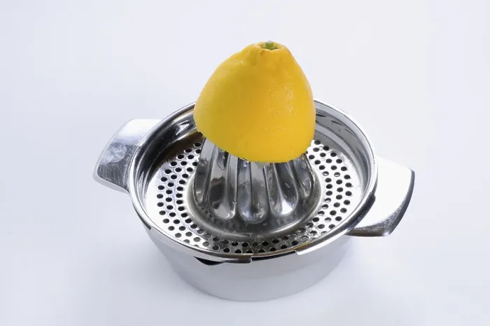 Stampa con cornice : Limone su un limoniera. Stampa con cornice : Limone su un limoniera.