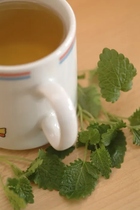 Stampa con cornice : Lemonbalmtea Stampa con cornice : Lemonbalmtea