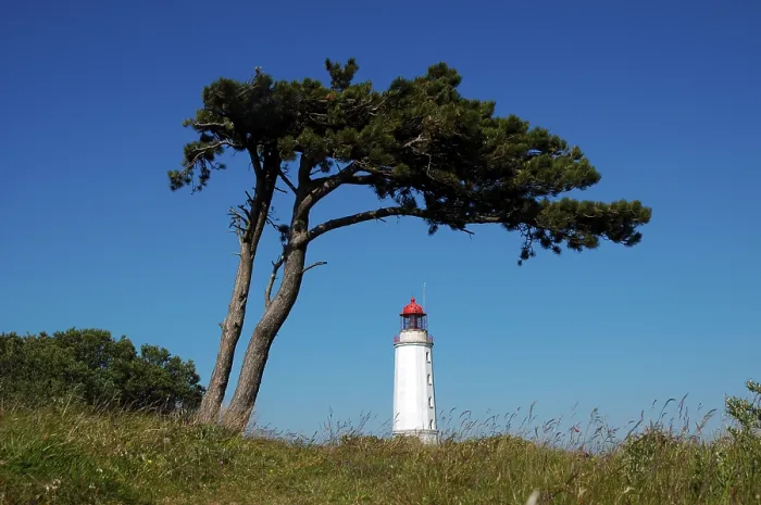 Stampa con cornice : Lighthouse