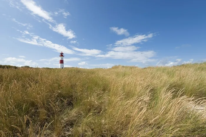 Stampa con cornice : Faro con cielo azzurro ad Ellenbogen. Stampa con cornice : Faro con cielo azzurro ad Ellenbogen.