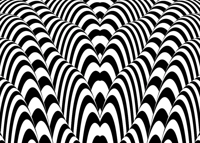 Stampa con cornice : Lines