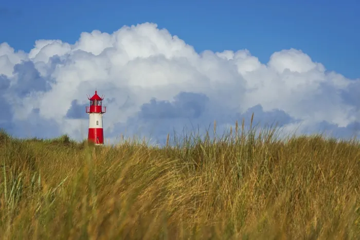 Stampa con cornice : Il faro Lister ad Ellenbogen. Stampa con cornice : Il faro Lister ad Ellenbogen.