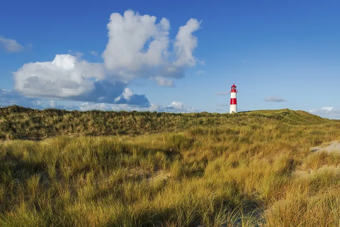 Stampa con cornice : Il faro Lister ad Ellenbogen.