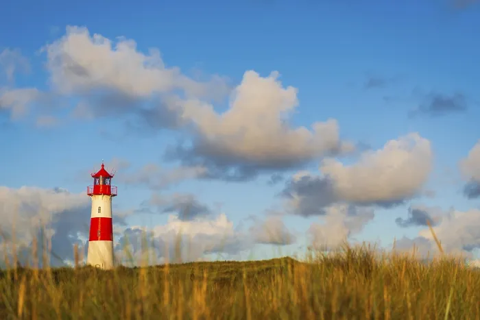 Stampa con cornice : Il faro Lister ad Ellenbogen. Stampa con cornice : Il faro Lister ad Ellenbogen.