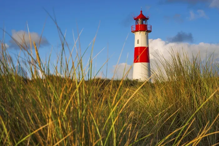 Stampa con cornice : Il faro Lister di Ellenbogen.
