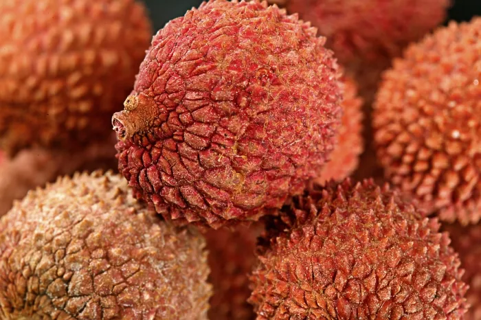 Stampa con cornice : Lychee Stampa con cornice : Lychee
