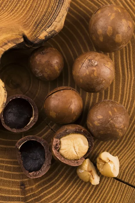 Stampa con cornice : Noci di macadamia Stampa con cornice : Noci di macadamia