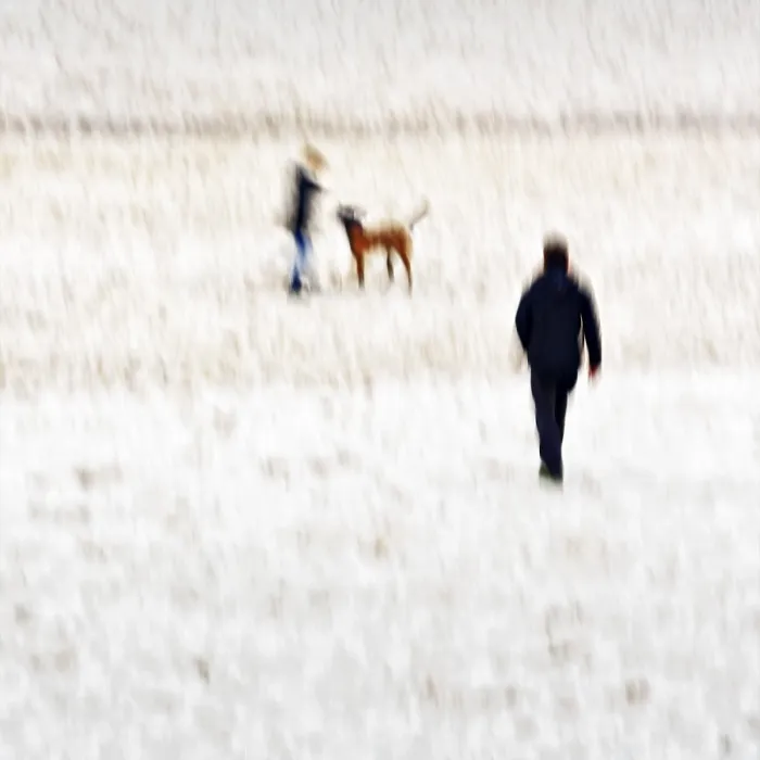 Stampa con cornice : Uomo con bambino e cane sulla spiaggia.