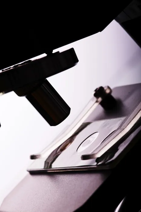 Stampa con cornice : Microscope