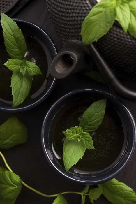 Stampa con cornice : Tè alla menta. Stampa con cornice : Tè alla menta.
