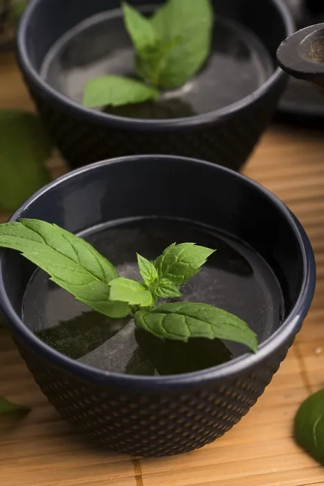 Stampa con cornice : Tè alla menta Stampa con cornice : Tè alla menta