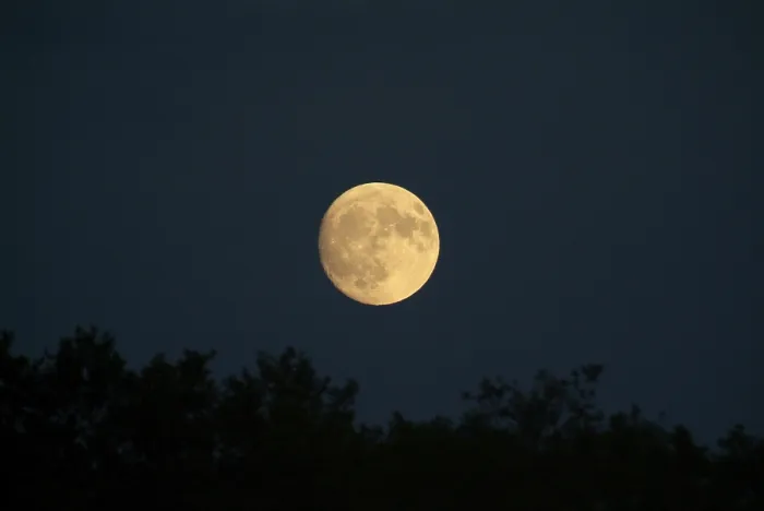 Stampa con cornice : Moon Stampa con cornice : Moon