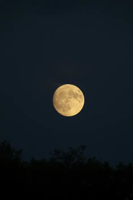 Stampa con cornice : Moon