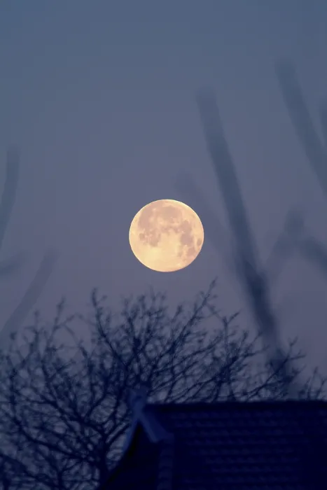 Stampa con cornice : Luna piena. Stampa con cornice : Luna piena.