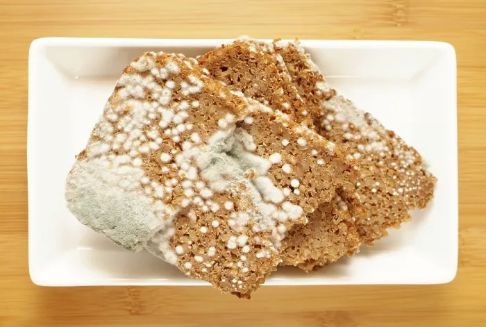 Stampa con cornice : Pane marcio