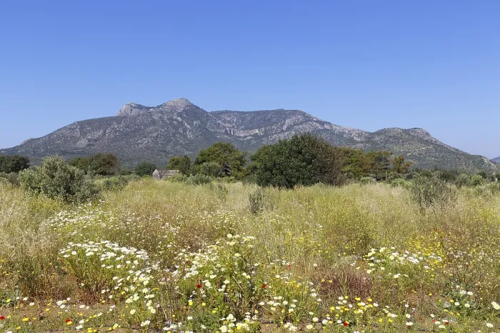 Stampa con cornice : Monte Emecik Dagi, Datca, Penisola di Datça