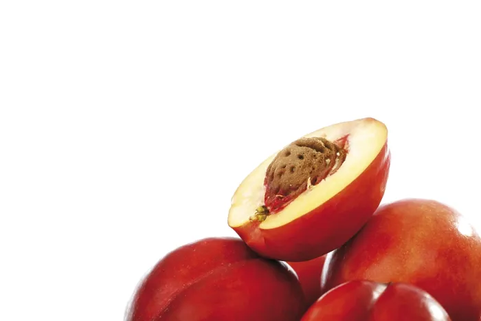 Stampa con cornice : Nectarines Stampa con cornice : Nectarines