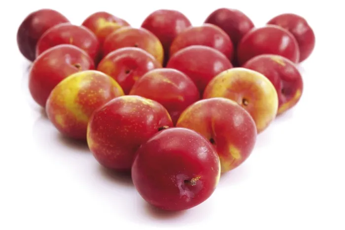 Stampa con cornice : Nectarines